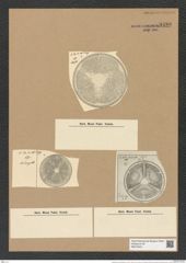 Actinoptychus simbirskianus A. Schm. (de-Toni-Nr.: Genus 227, Species 5583) Zeichnungen Sammlung Grunow Nr. 9480 (NHMW-BOT-W0379451)